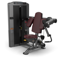  Бицепс TRUE FITNESS Palladium Biceps Curl SPL-0600 Metal