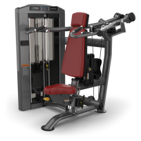 Жим от плеч TRUE FITNESS Palladium Shoulder Press SPL-0700 Acrylic