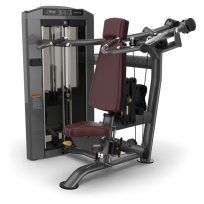 Жим от плеч TRUE FITNESS Palladium Shoulder Press SPL-0700 Acrylic