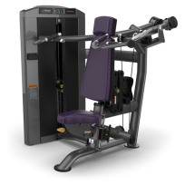 Жим от плеч TRUE FITNESS Palladium Shoulder Press SPL-0700 Metal