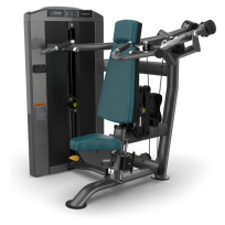 Жим от плеч TRUE FITNESS Palladium Shoulder Press SPL-0700 Metal