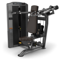 Жим от плеч TRUE FITNESS Palladium Shoulder Press SPL-0700 Metal