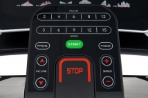 Беговая дорожка TITANIUM Masters Physiotech TLF