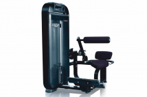 Разгибание спины ULTRAGYM Business Diamond UG-DM503