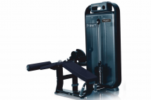 Сгибание ног лежа ULTRAGYM Business Diamond UG-DM514