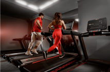 Беговая дорожка ULTRAGYM UG-POWER 009