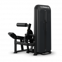 Разгибание спины/Пресс VISION Access Ab/Low Back V-ACS-SL-531