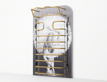 Многофункциональный тренажер DESIRE FITNESS Prime Ballet