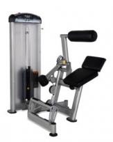 Разгибание спины TRUE FITNESS FUSE1300H