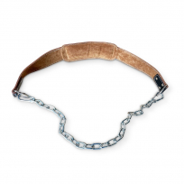 Пояс отягощений AEROFIT AFPDO