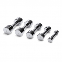 Набор хромированных гантелей TECHNOGYM Chrome Dumbbell 10 кг
