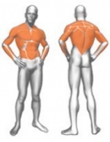 Многофункциональный силовой тренажер PANATTA Cable Crossover 1SC111