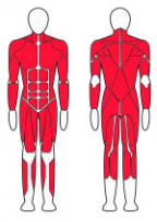 Силовая рама + Машина Смита FITEX FTX-G2050