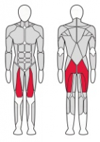 Гакк машина (регулируемая платформа) FITEX FTX-FWL41