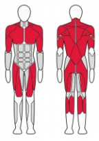 Машина Смита FITEX FTX-61F33.1