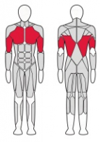 Блок для мышц спины(верхняя/нижняя тяга) FITEX FTX-C4D06