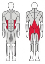 Гиперэкстензия угловая FITEX Optima FTX-61F43