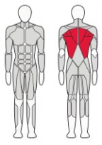 Т-образная тяга FITEX FTX-82006