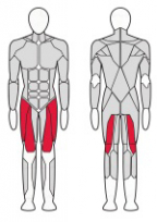 Комбинированный разгибатель-сгибатель бедра сидя FITEX FTX-C4D12
