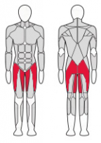Тренажер для ягодичных мышц бедра стоя FITEX FTX-C420